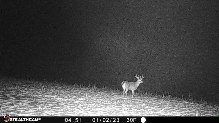 Affordable Hunting Land with Trout Stream for Sale in Richland County, Wisconsin