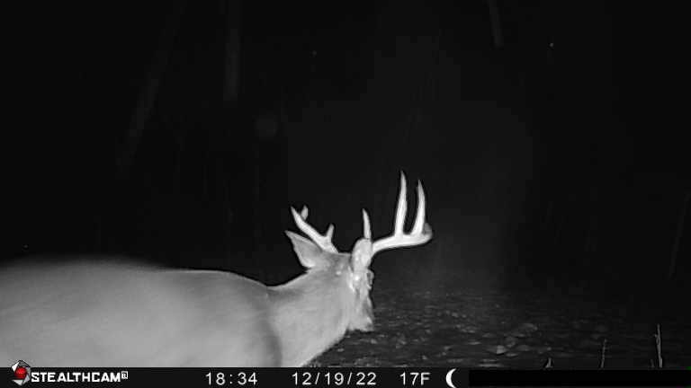 Affordable Hunting Land with Trout Stream for Sale in Richland County, Wisconsin