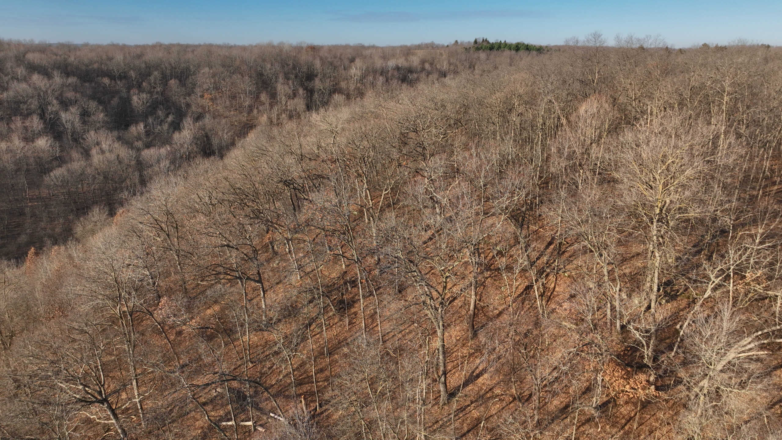 Dream Retreat for Sale in Richland County, Wisconsin