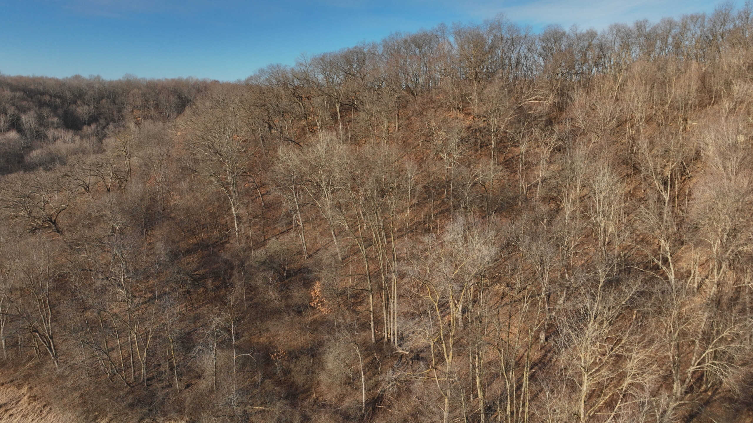 Dream Retreat for Sale in Richland County, Wisconsin