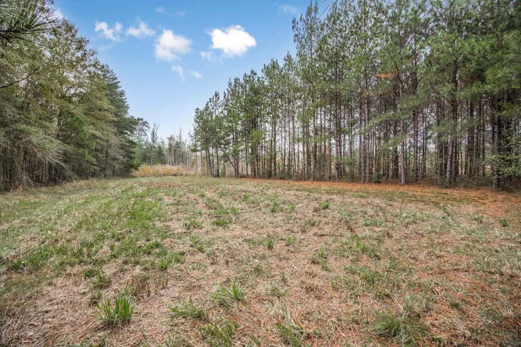 77 Acres with Camp for Sale in Simpson County, MS