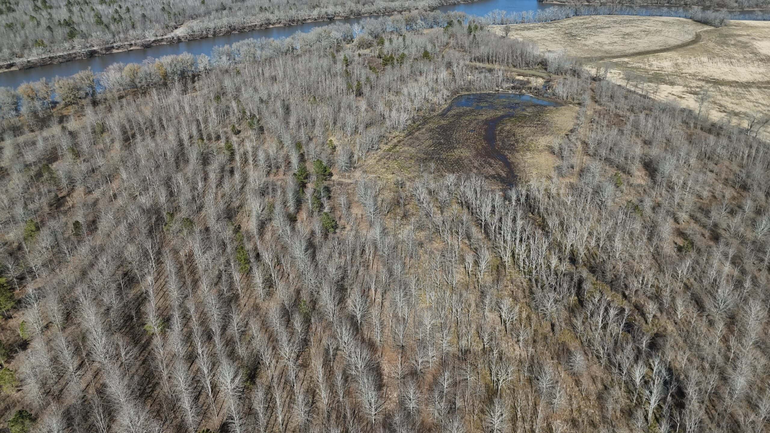 Duck and Deer Hunting Land with a Camp Spot for Sale