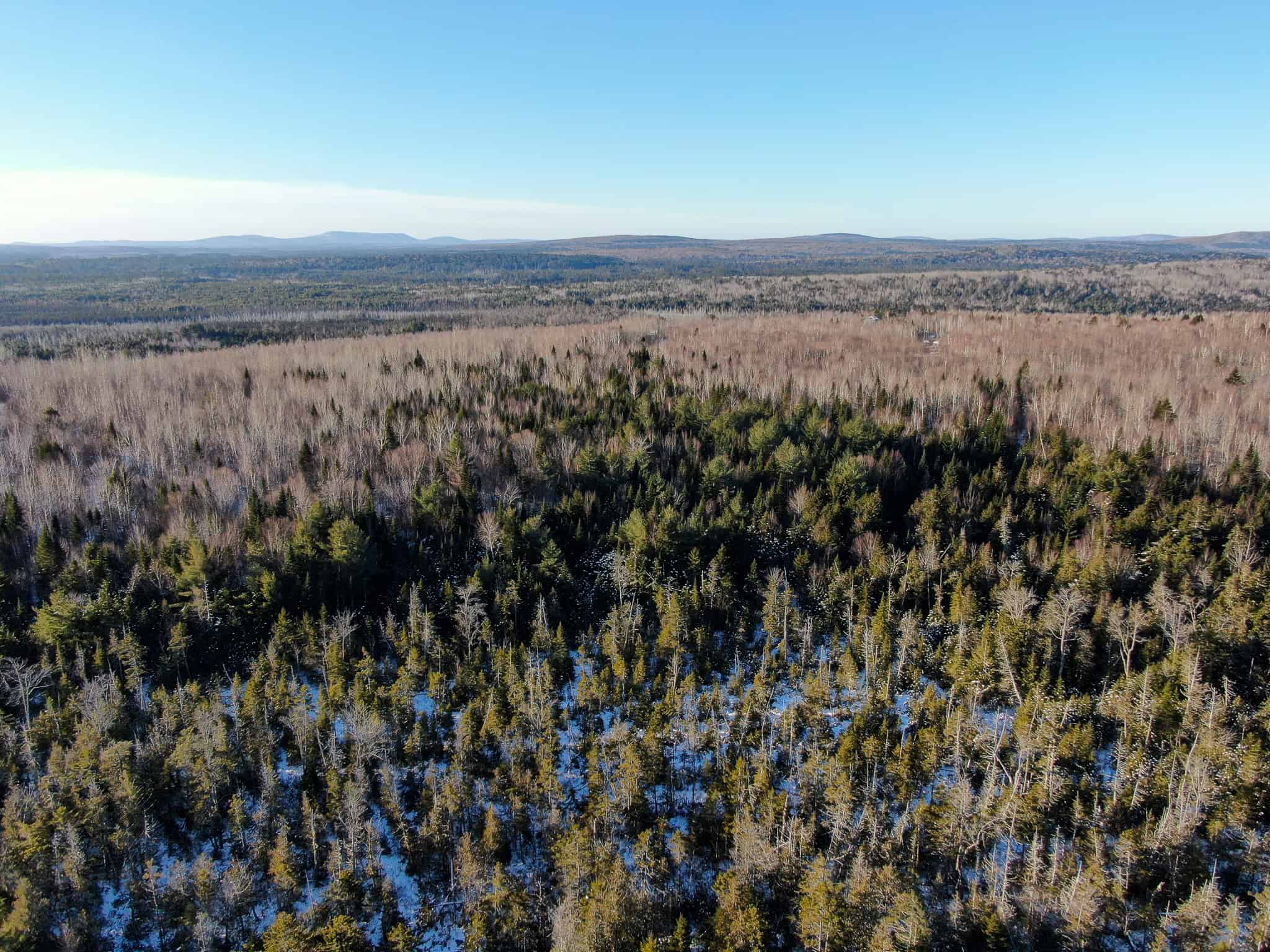 40 Acre Retreat Surrounded by The Downeast Lakes
