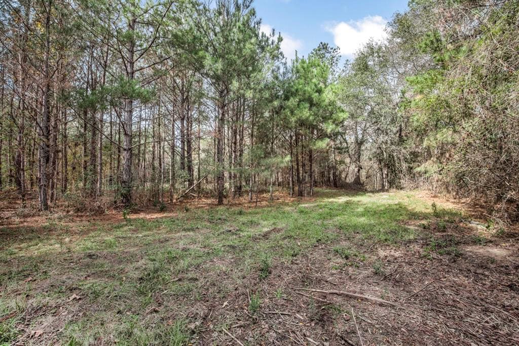 8+- Acres for Sale Just Outside of Brookhaven