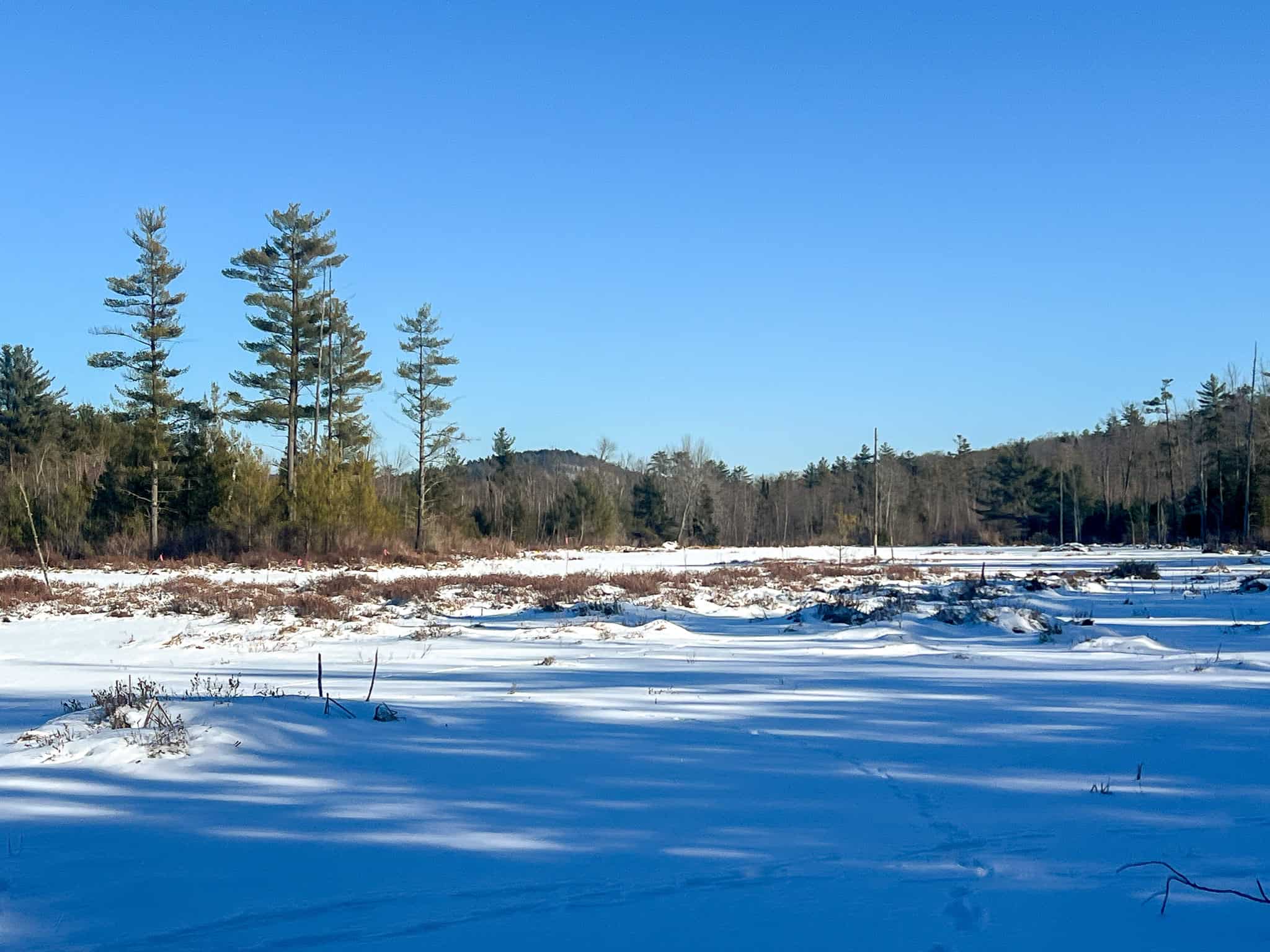 Escape to the Serenity of Nature – 21.535 Acres in Porter, Maine