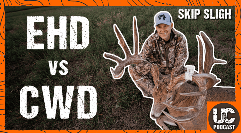 EHD vs CWD -Which is worse?? | Skip Sligh – Ep 025