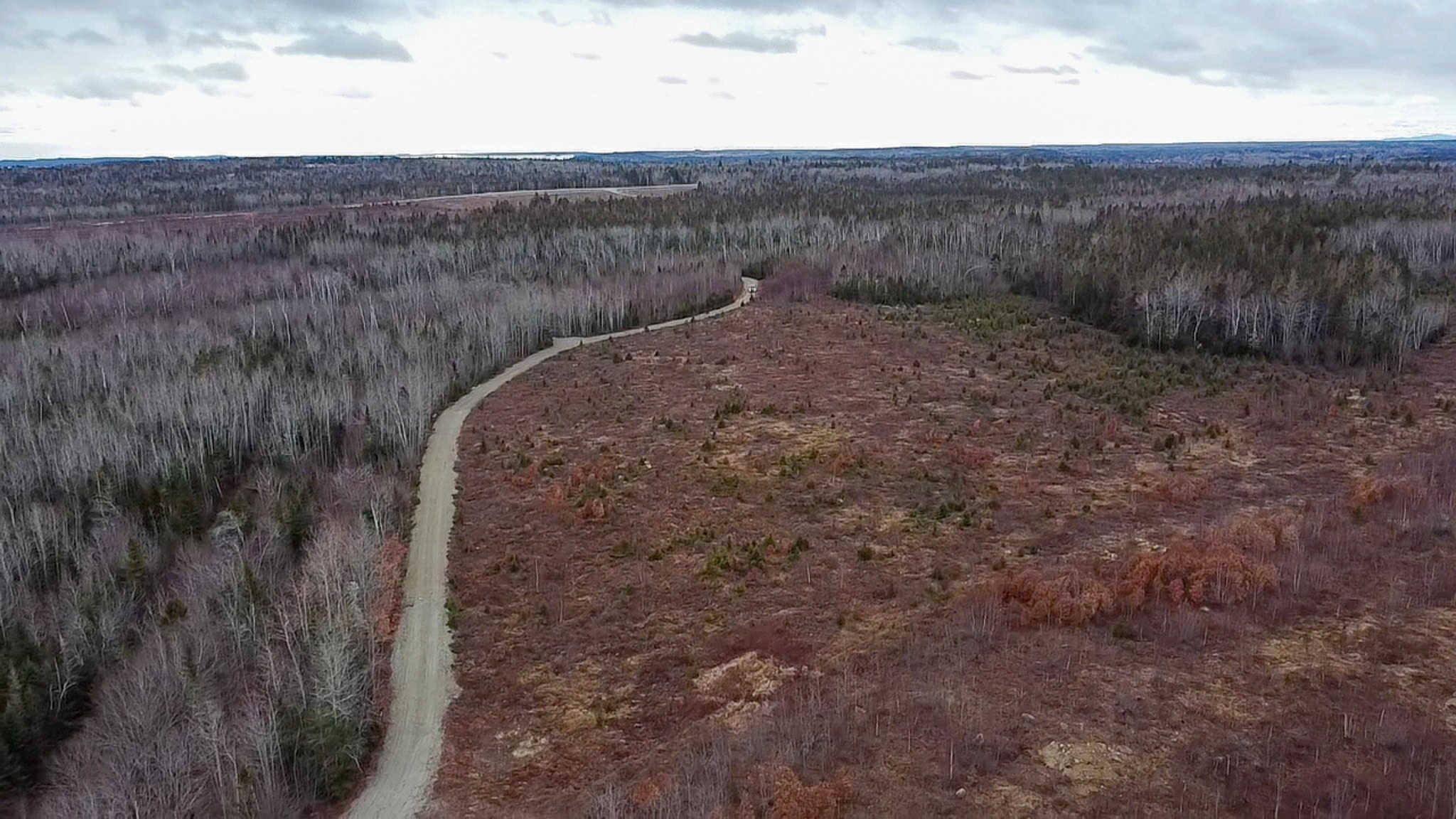 327± Acres with 3500 Feet of Brook Frontage