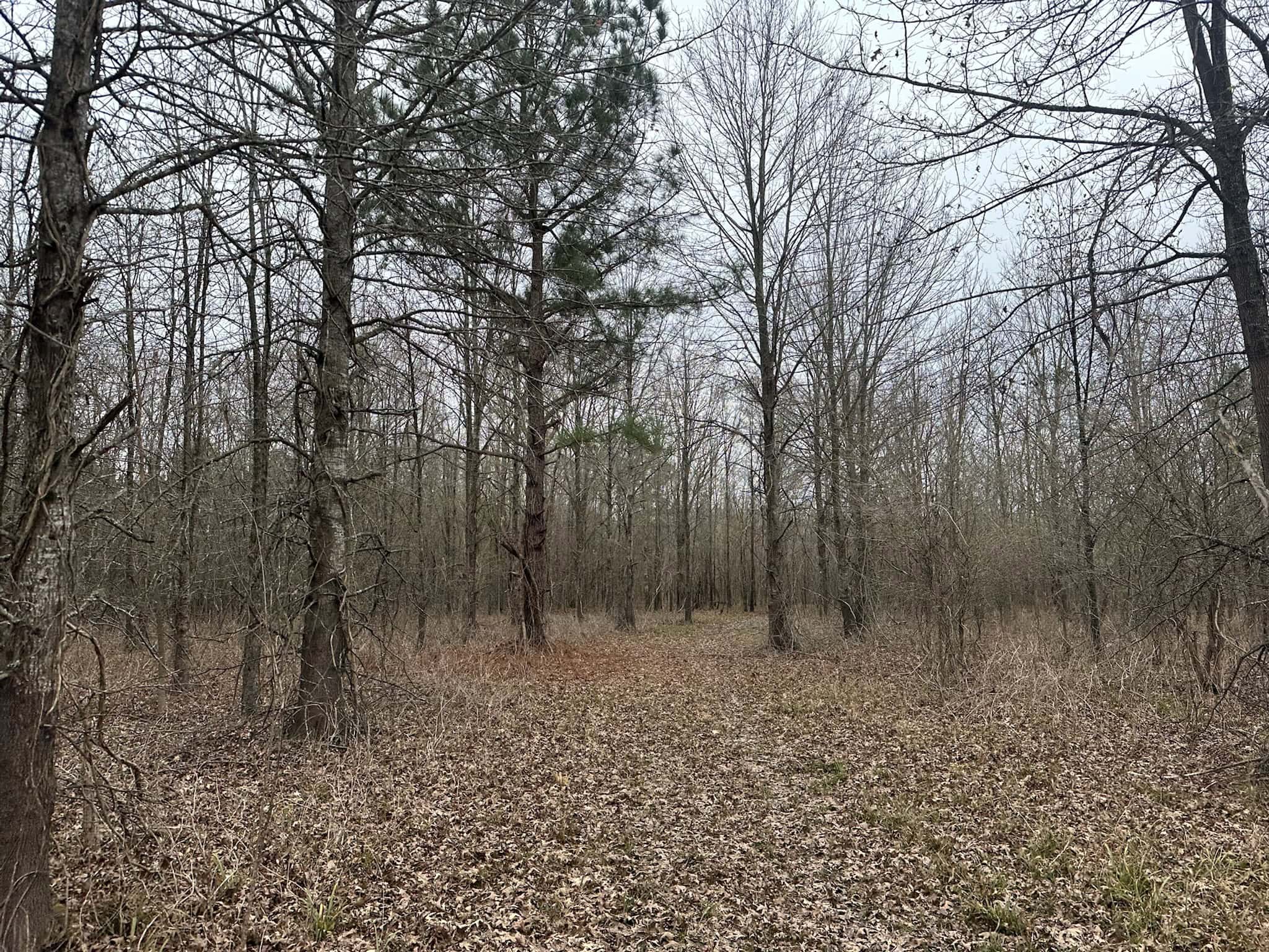 Duck and Deer Hunting Land with a Camp Spot for Sale