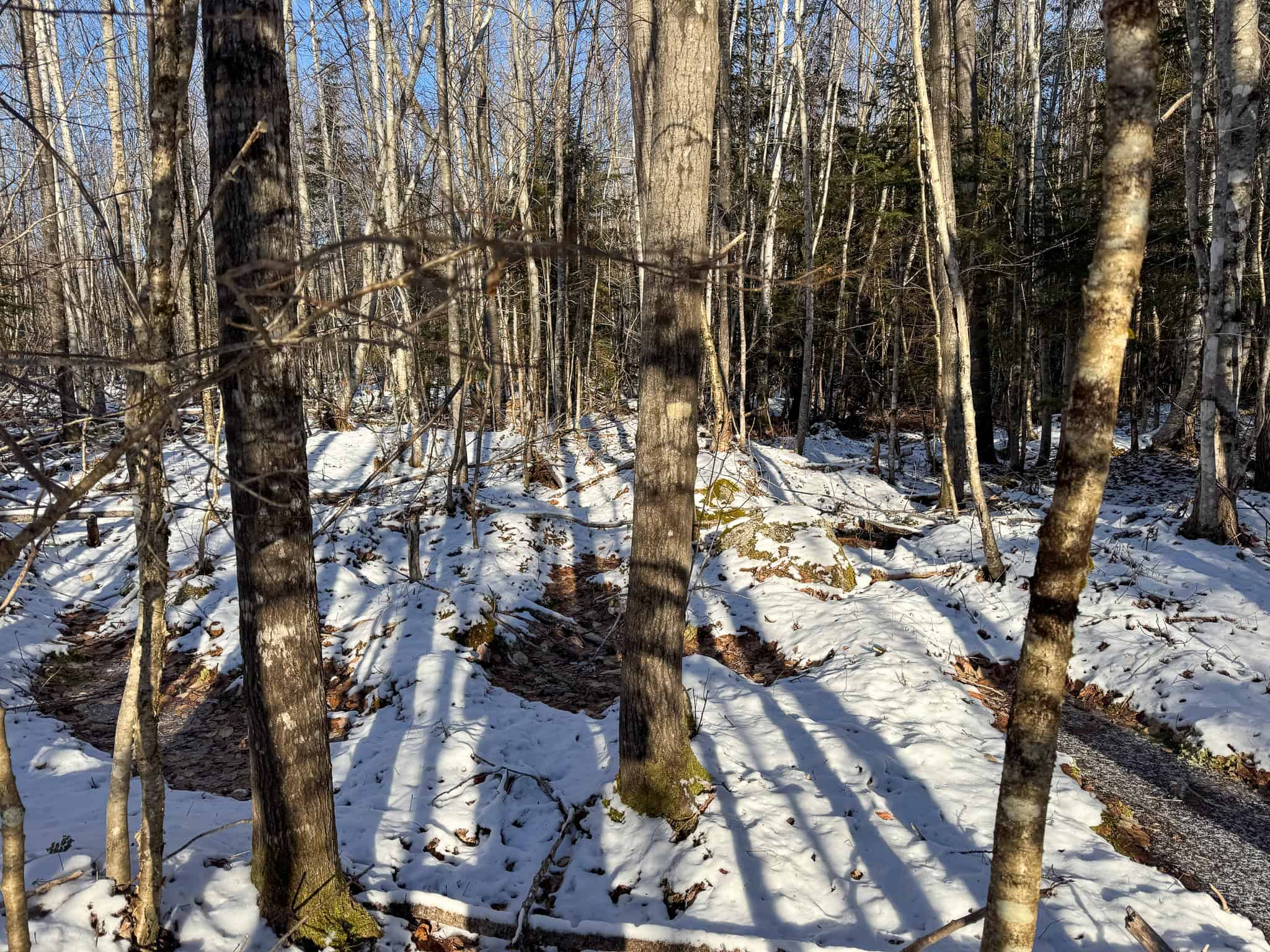 40 Acre Retreat Surrounded by The Downeast Lakes