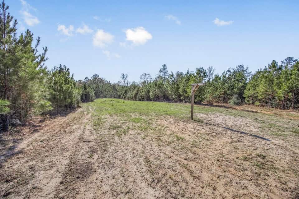 150 Acres For Sale Amite County – Will Divide