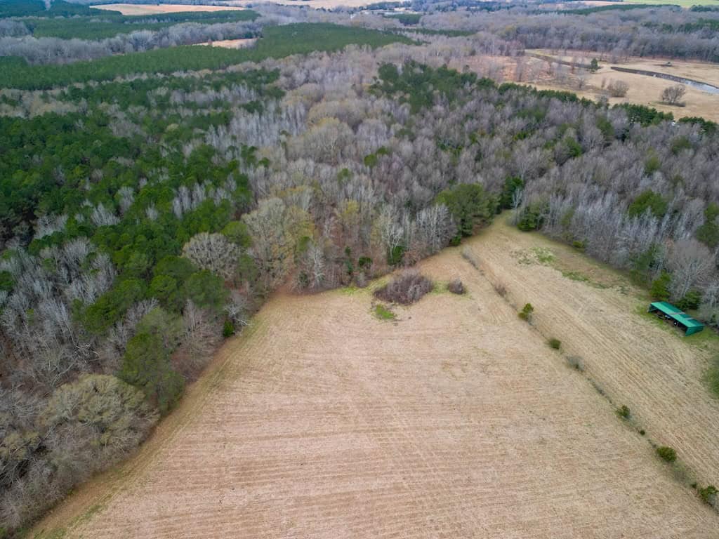 Flora Mississippi 78+- Acres for Sale