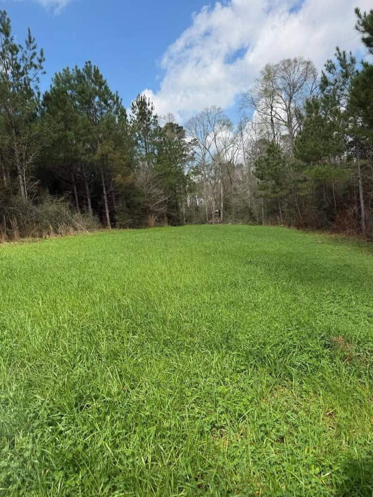 Hunting Land For Sale in Amite County MS
