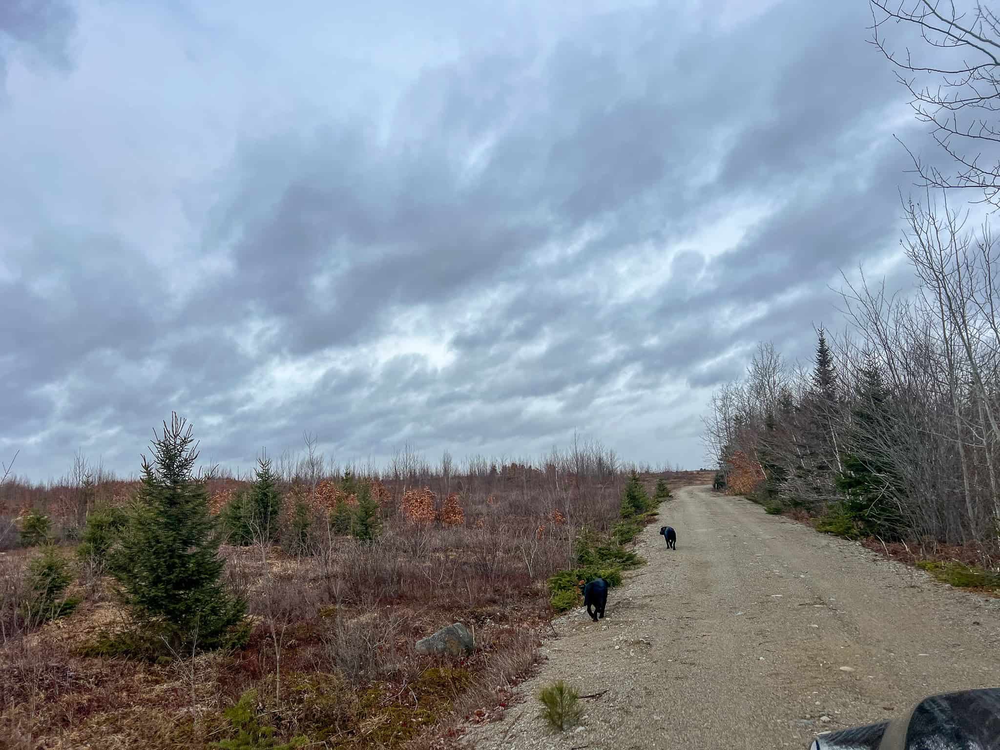 327± Acres with 3500 Feet of Brook Frontage