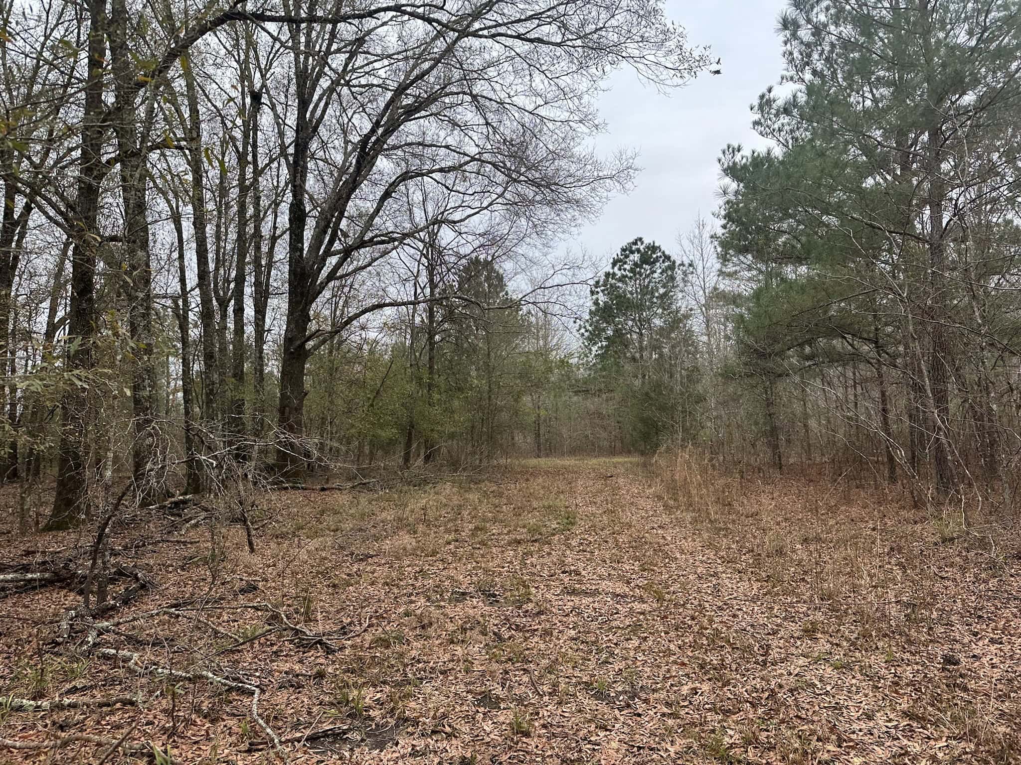 Duck and Deer Hunting Land with a Camp Spot for Sale