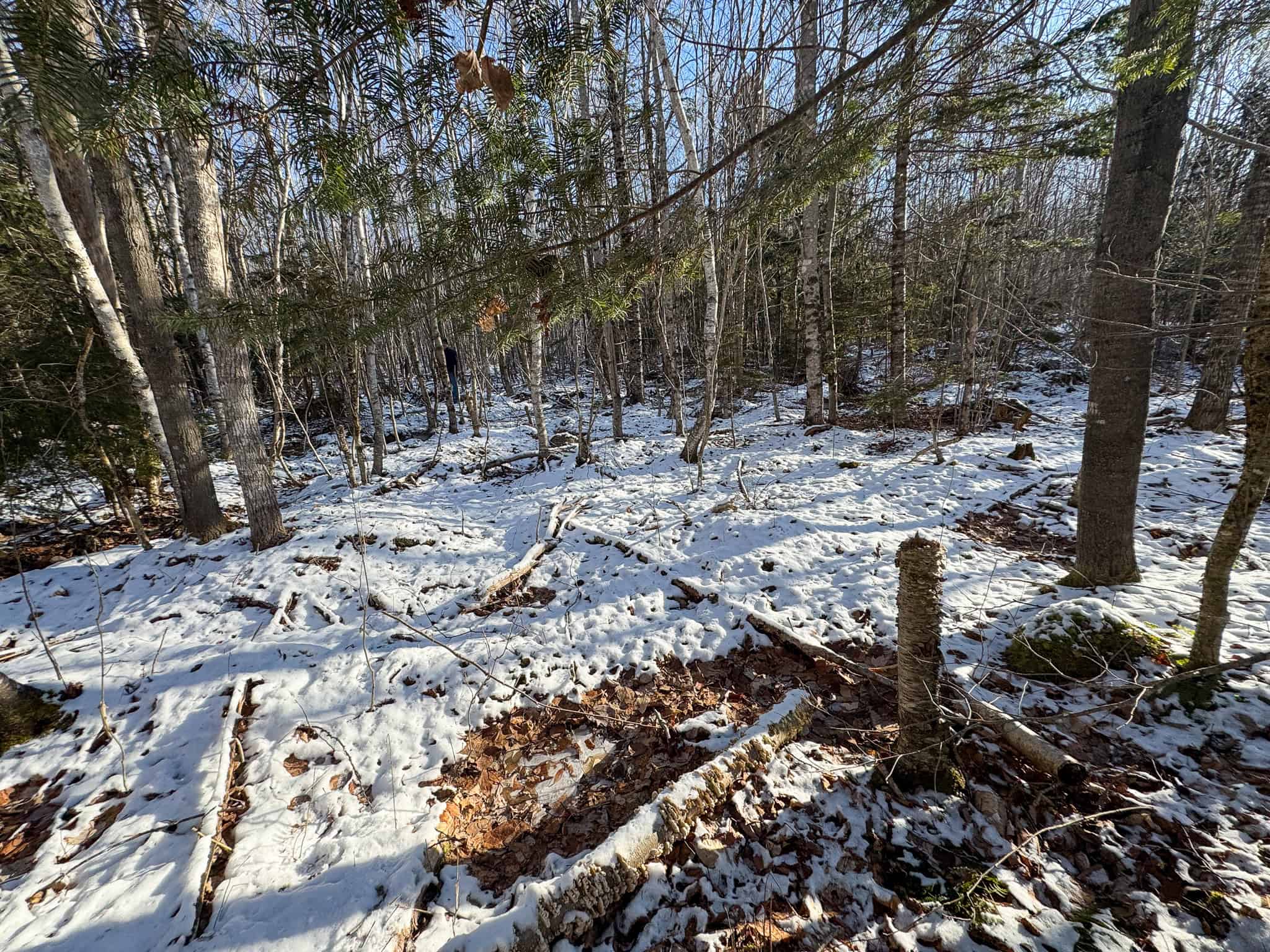 40 Acre Retreat Surrounded by The Downeast Lakes