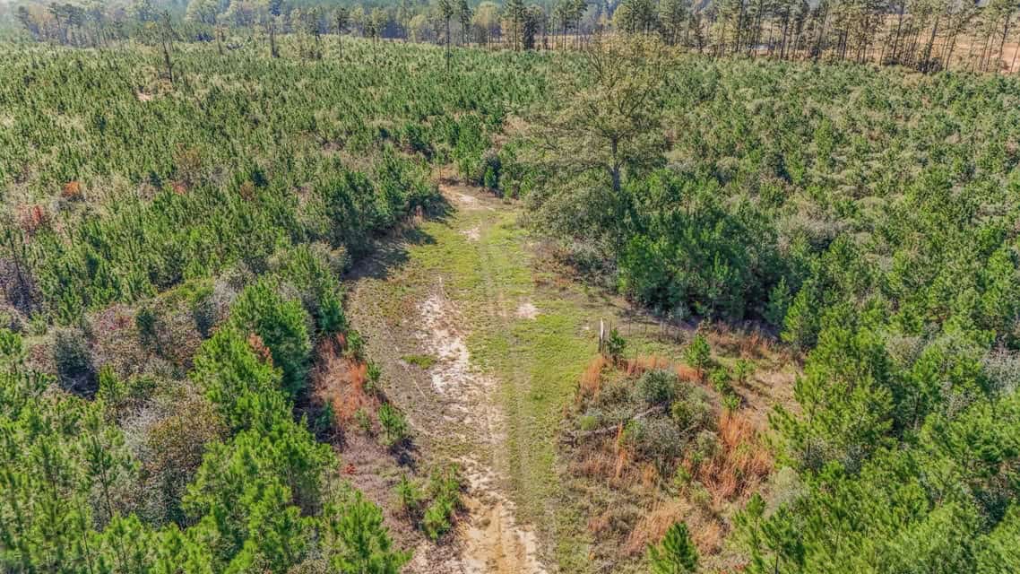 150 Acres For Sale Amite County – Will Divide