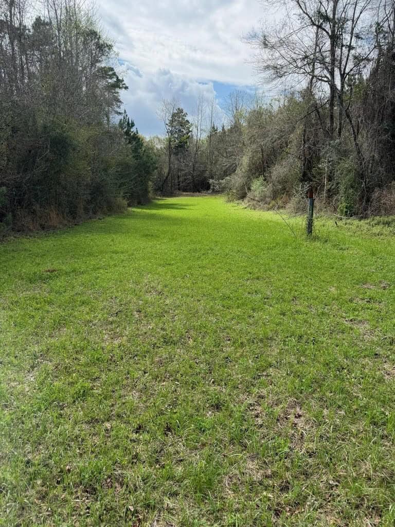 Hunting Land For Sale in Amite County MS