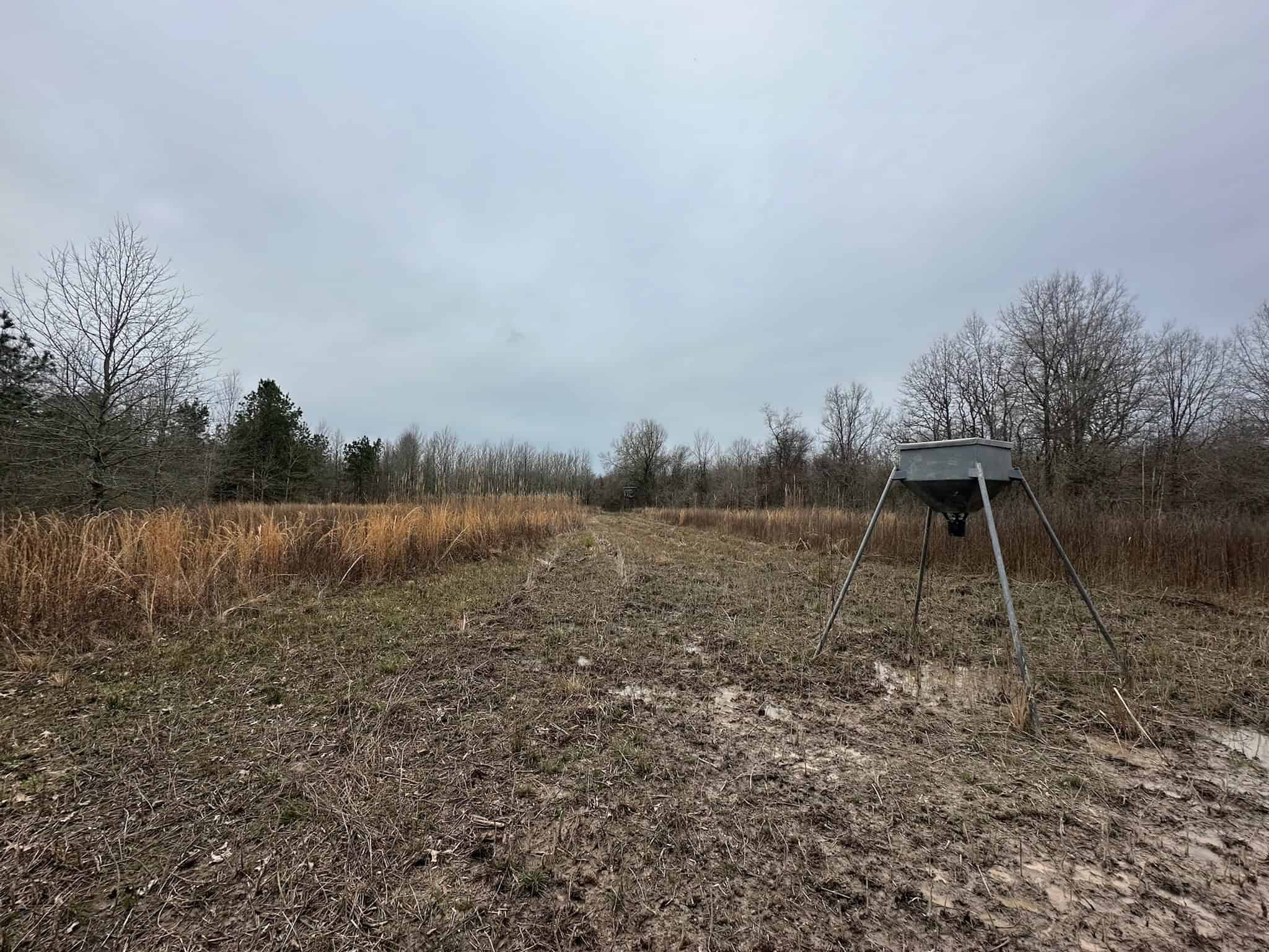 Duck and Deer Hunting Land with a Camp Spot for Sale