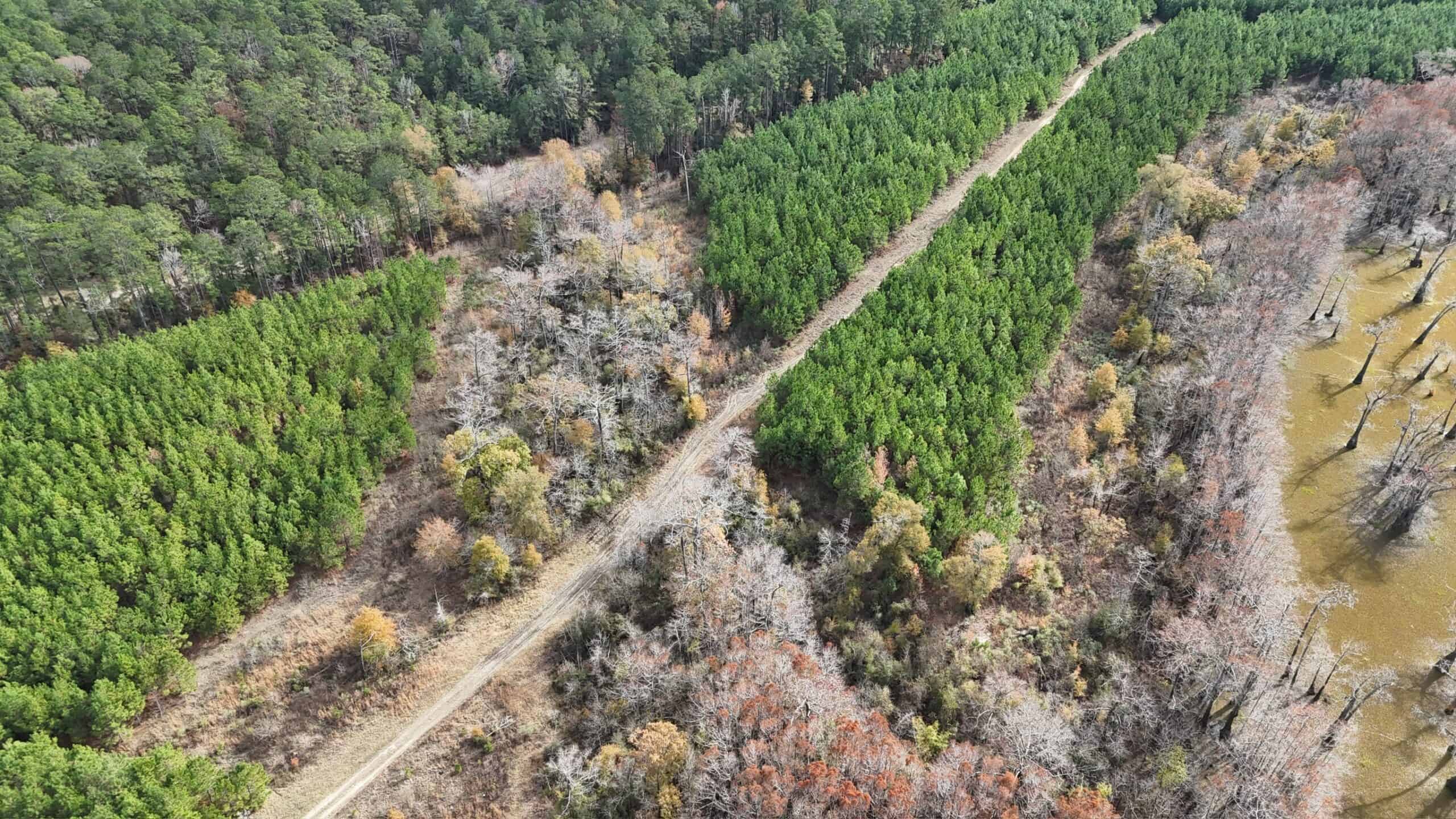 65+/- Acre Hunting Property and Homesite Near Kitterlin Bay