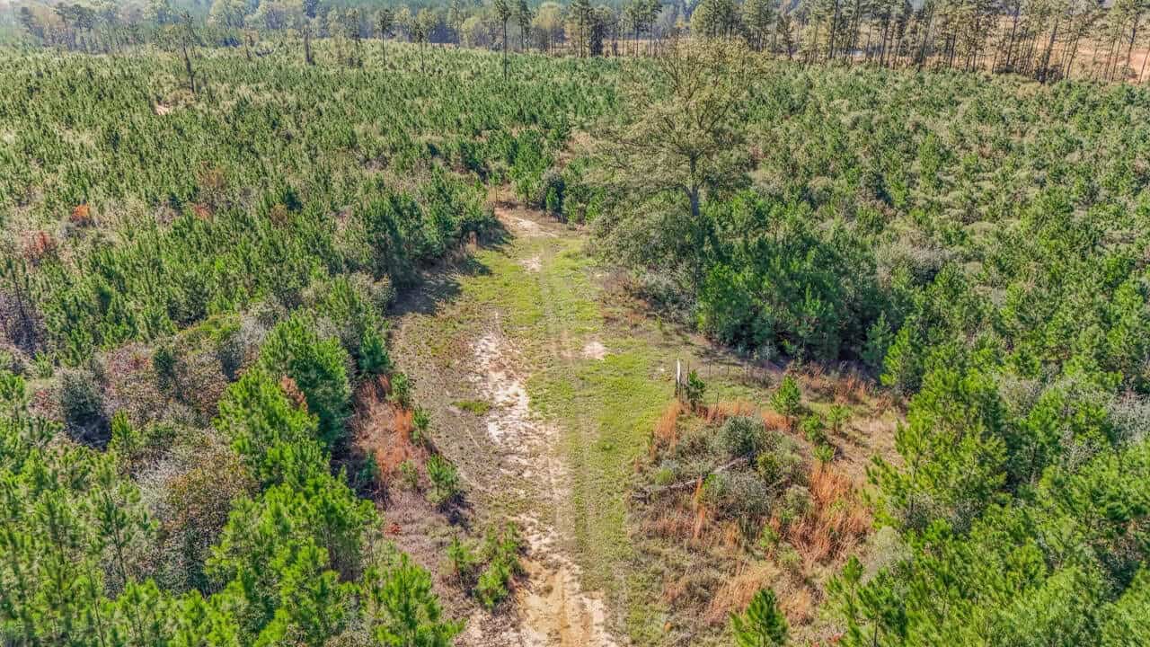 Hunting Land For Sale in Amite County MS