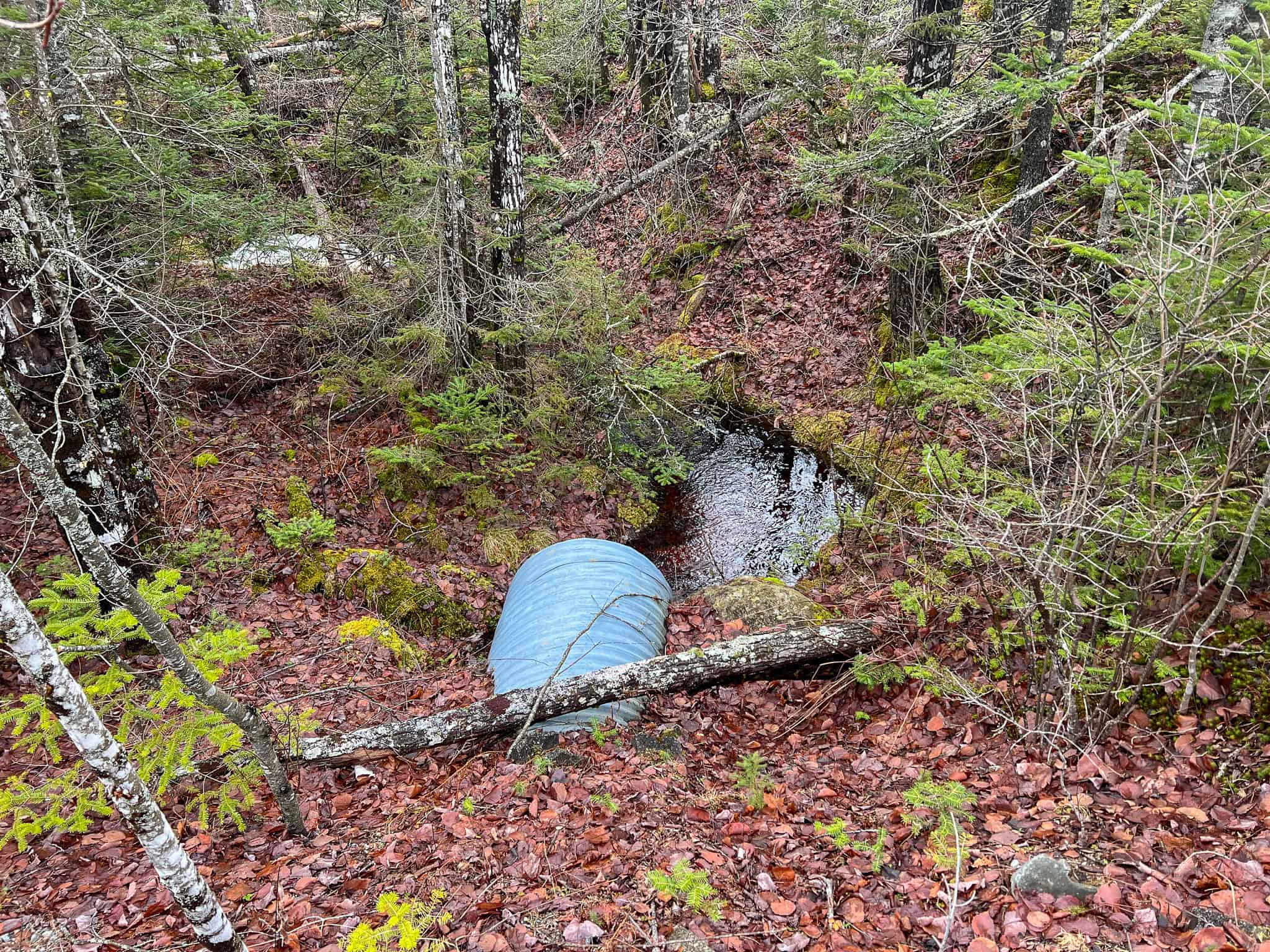 327± Acres with 3500 Feet of Brook Frontage