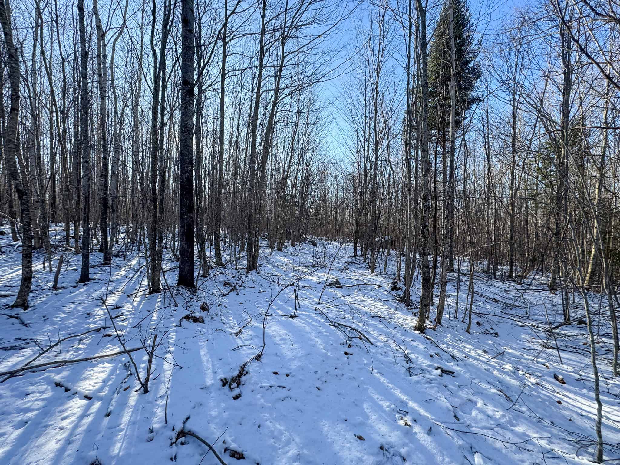 40 Acre Retreat Surrounded by The Downeast Lakes