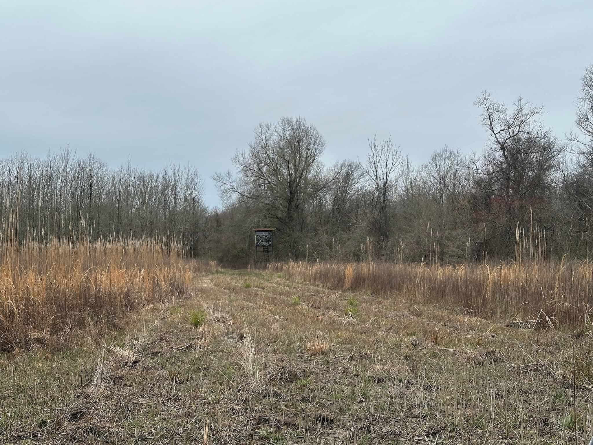 Duck and Deer Hunting Land with a Camp Spot for Sale