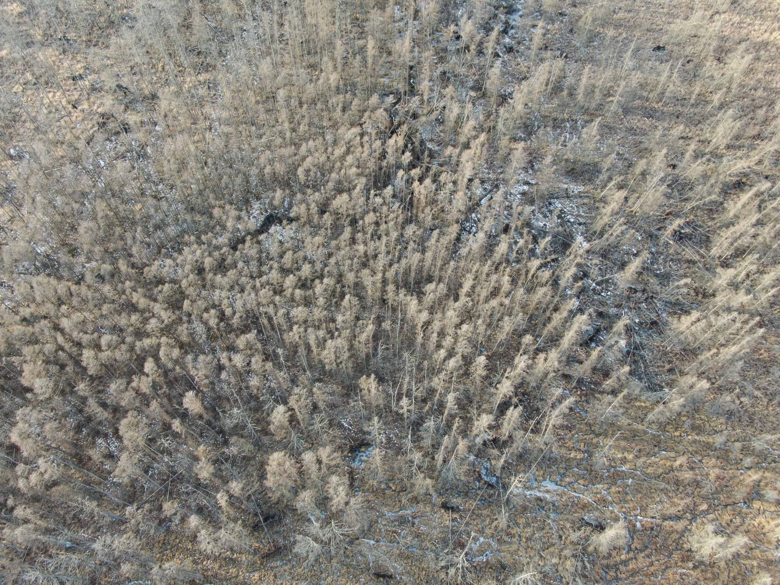 53 acre proven hunting property in Marquette County WI