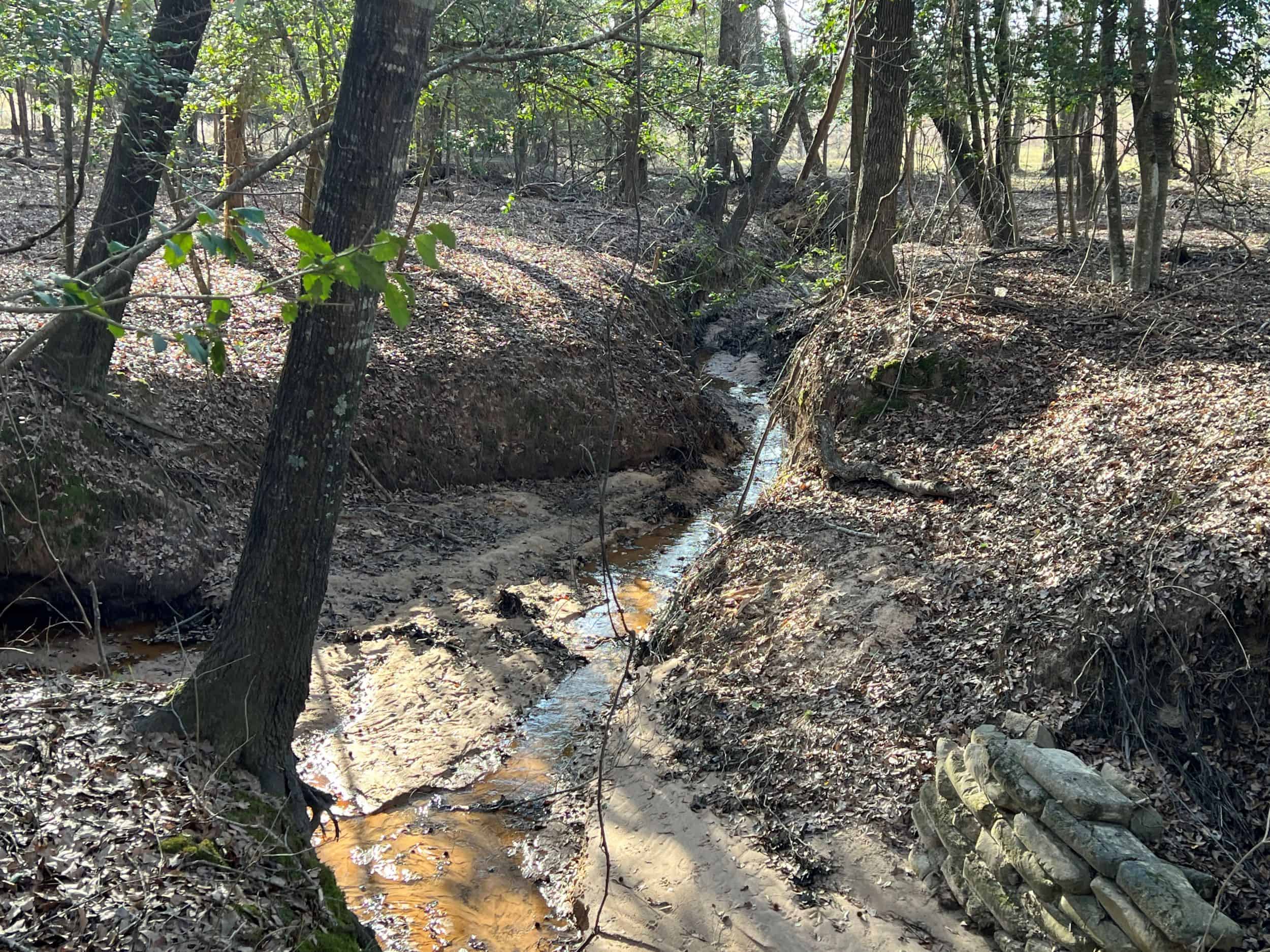 East Texas Hunting & Ranch Land for Sale East of Dallas