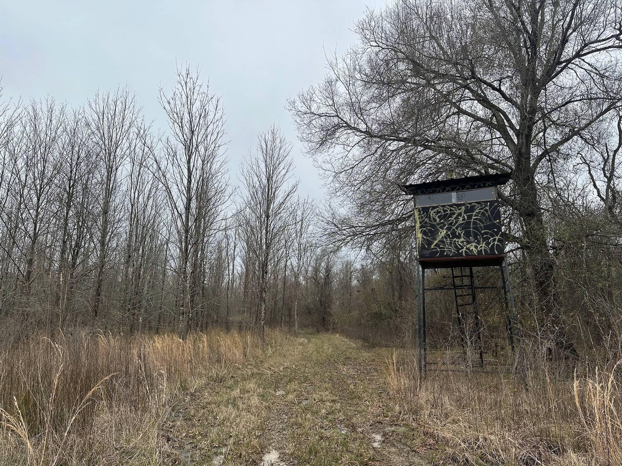 Duck and Deer Hunting Land with a Camp Spot for Sale