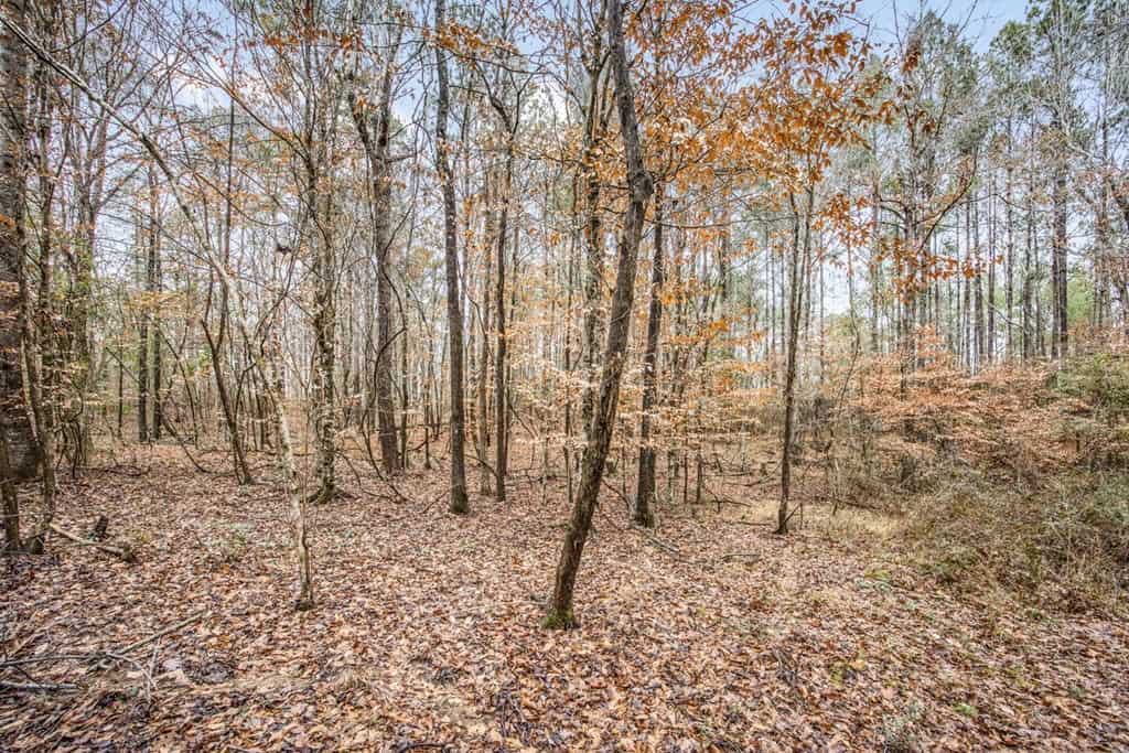 100 Acres in West Feliciana with 2 Bed/1 Bath Camp