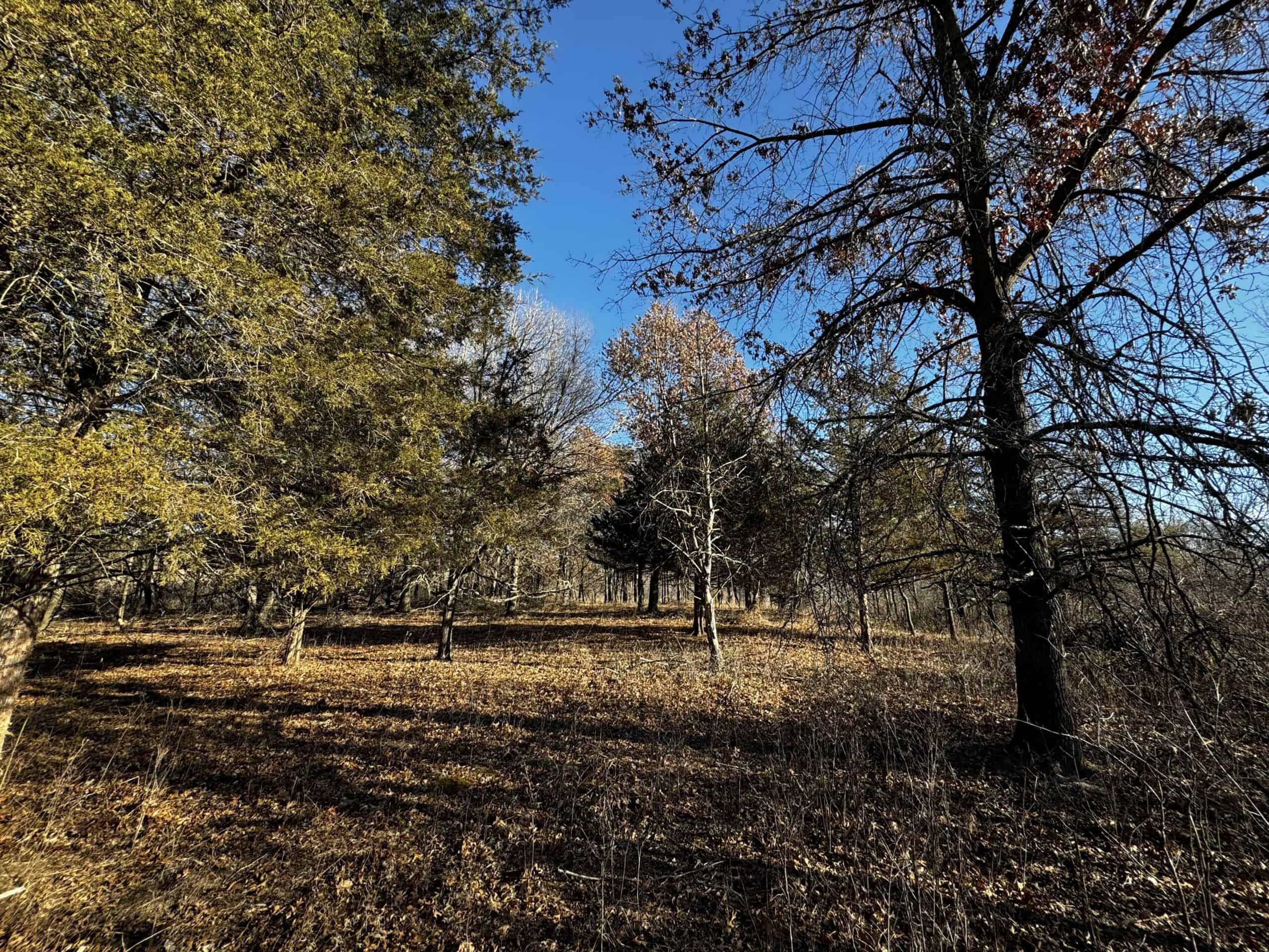 53 acre proven hunting property in Marquette County WI