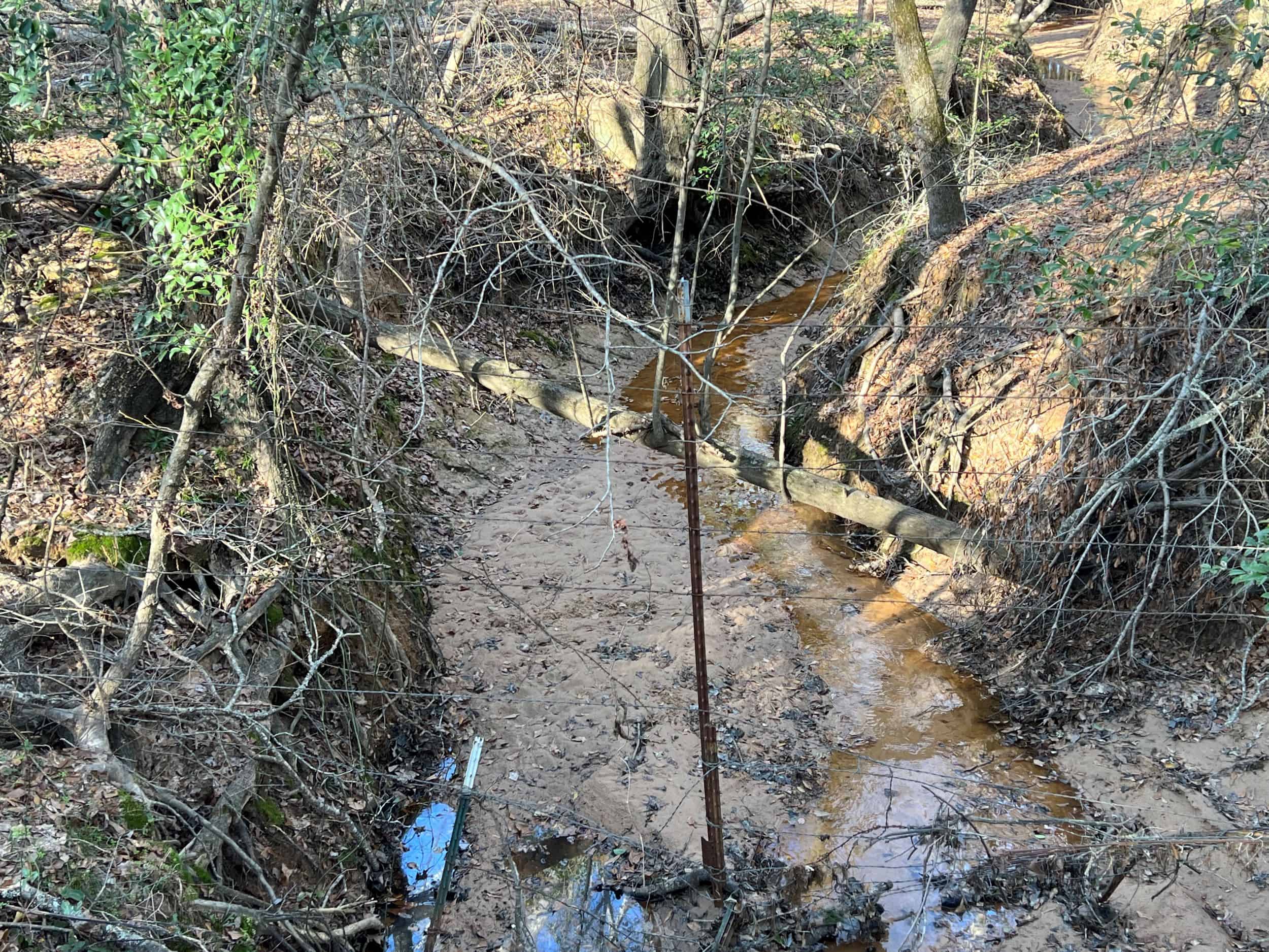 East Texas Hunting & Ranch Land for Sale East of Dallas
