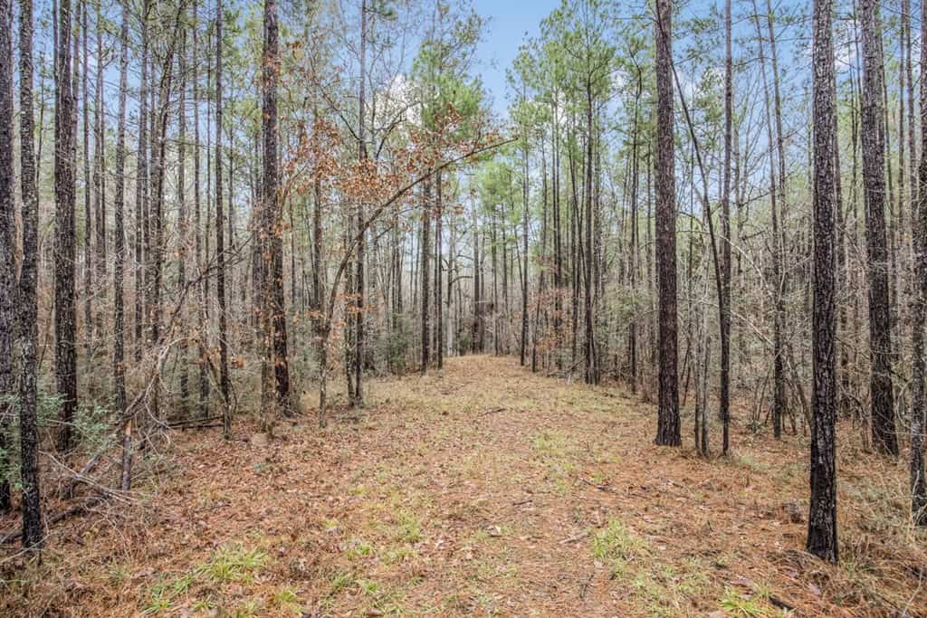 100 Acres in West Feliciana with 2 Bed/1 Bath Camp