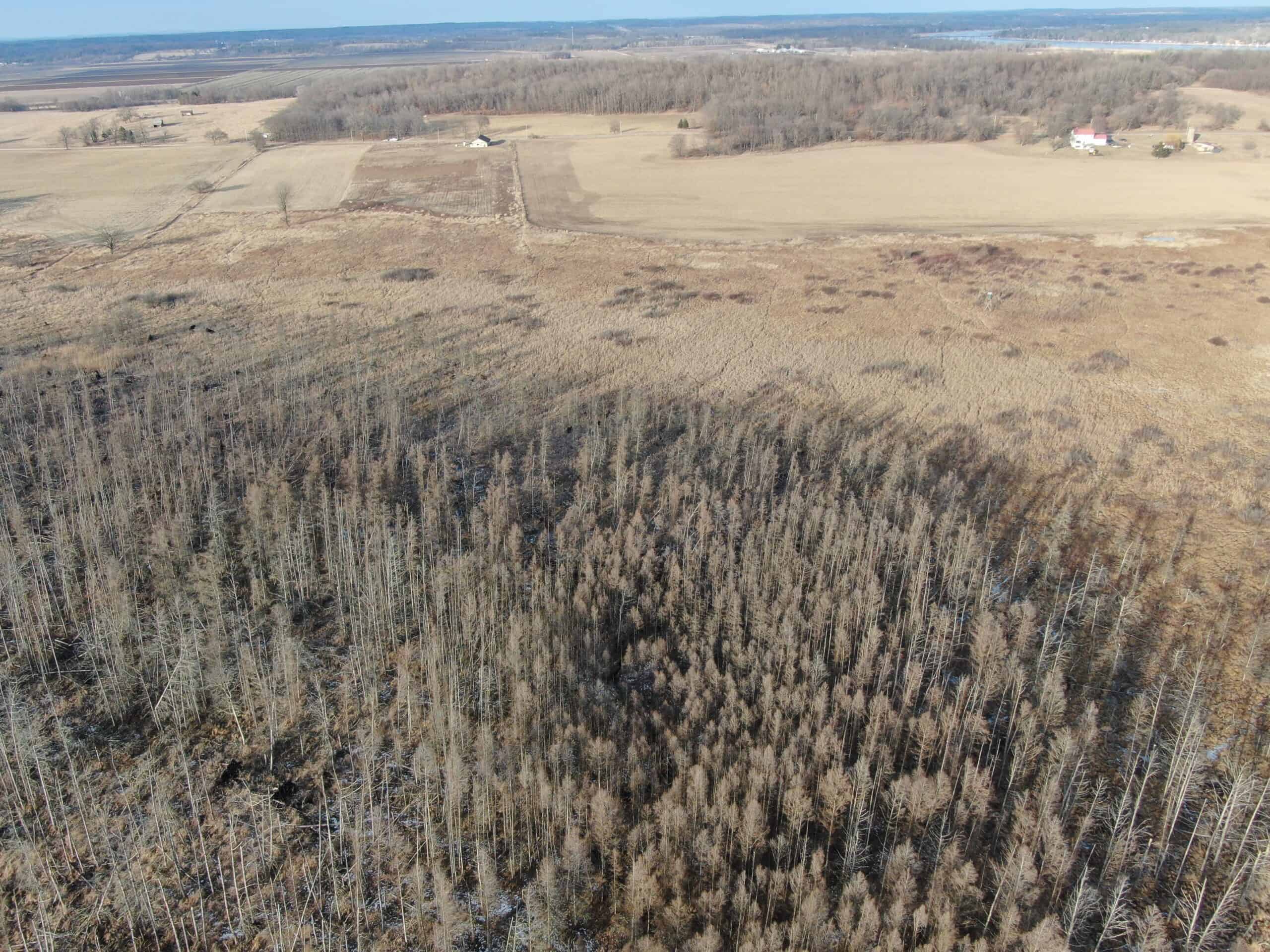 53 acre proven hunting property in Marquette County WI