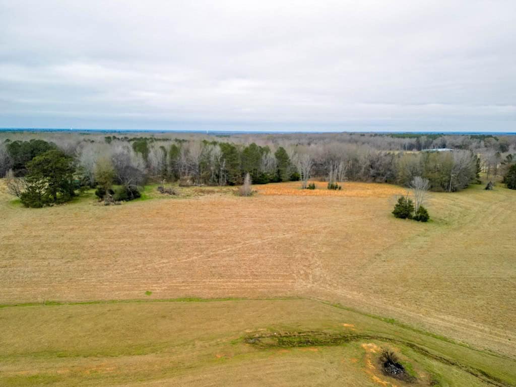 Flora Mississippi 78+- Acres for Sale