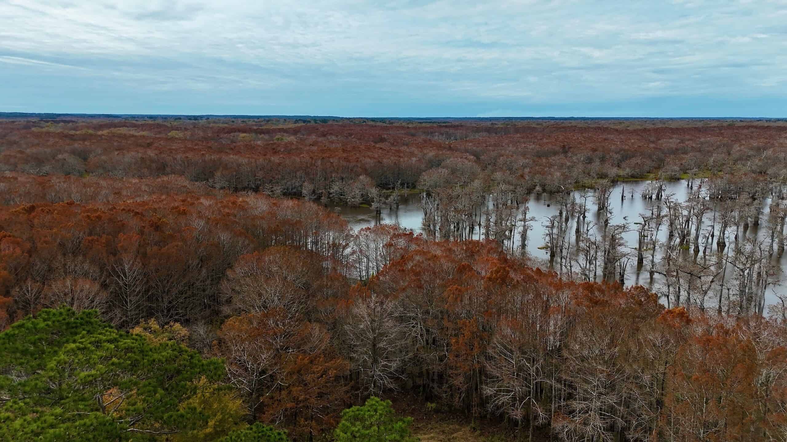 65+/- Acre Hunting Property and Homesite Near Kitterlin Bay