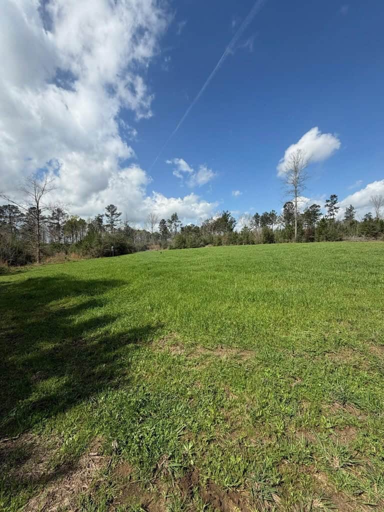 Hunting Land For Sale in Amite County MS
