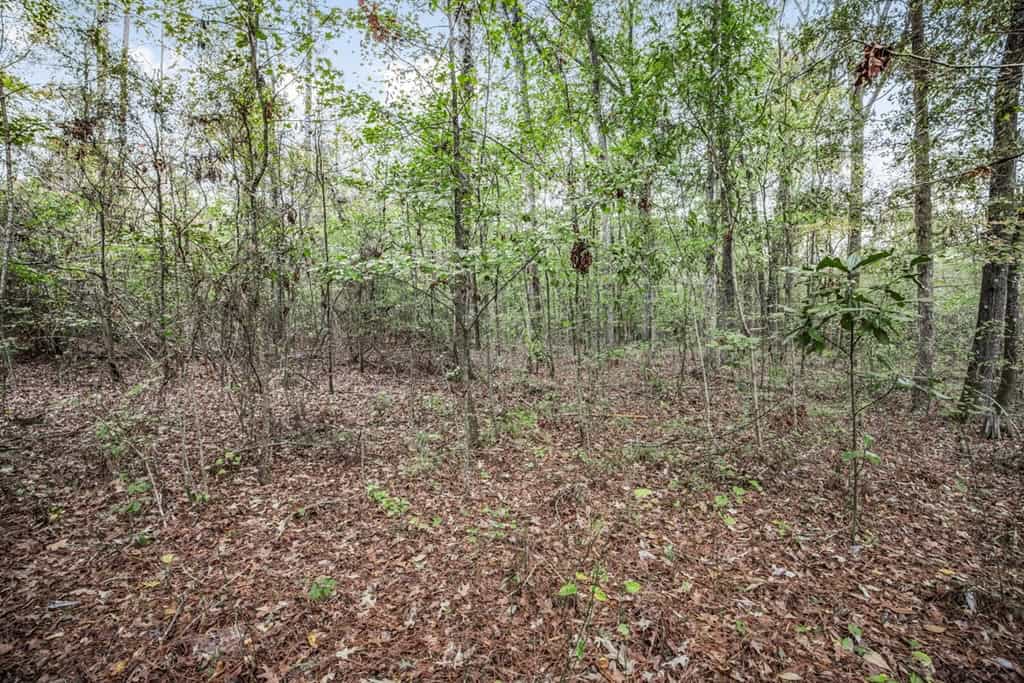 77 Acres with Camp for Sale in Simpson County, MS