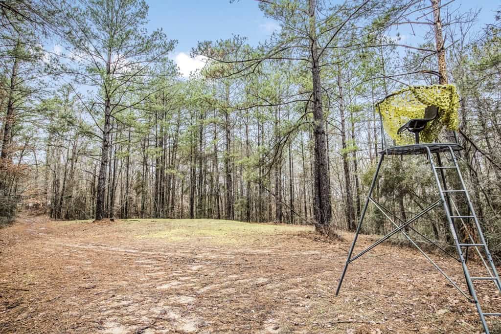 100 Acres in West Feliciana with 2 Bed/1 Bath Camp