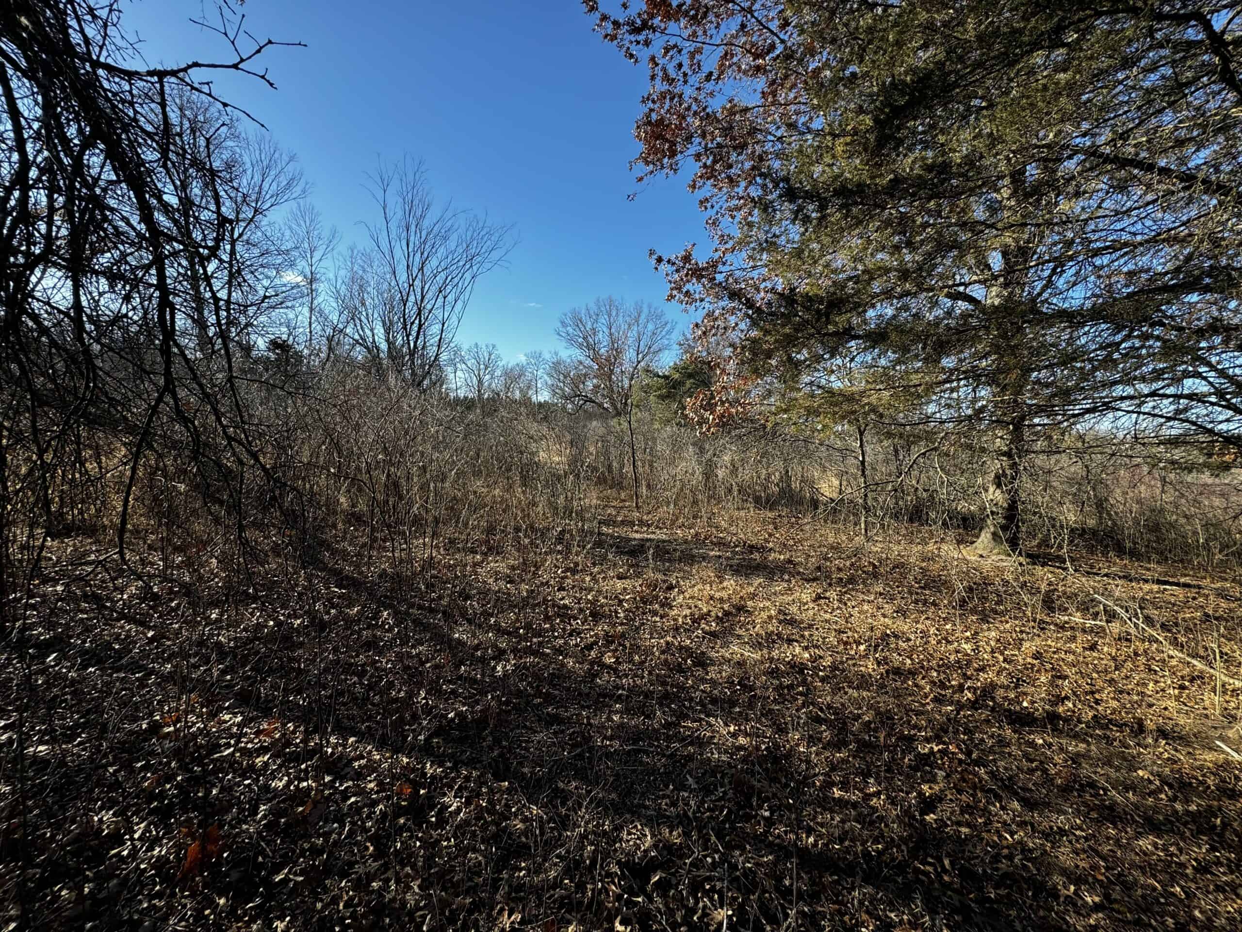 53 acre proven hunting property in Marquette County WI