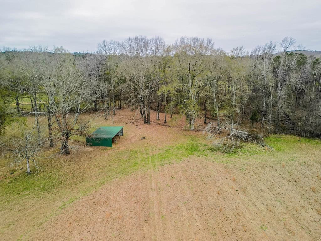 Flora Mississippi 78+- Acres for Sale
