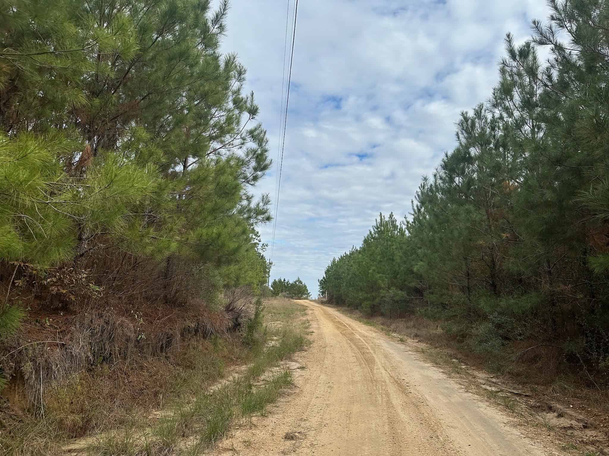 65+/- Acre Hunting Property and Homesite Near Kitterlin Bay