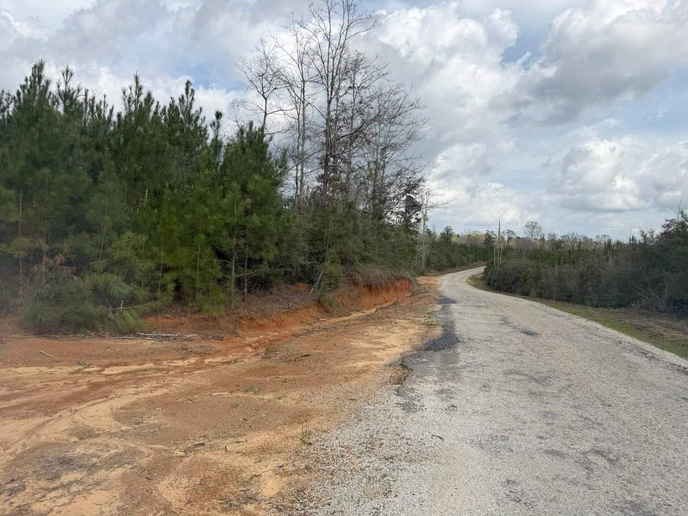 Hunting Land For Sale in Amite County MS