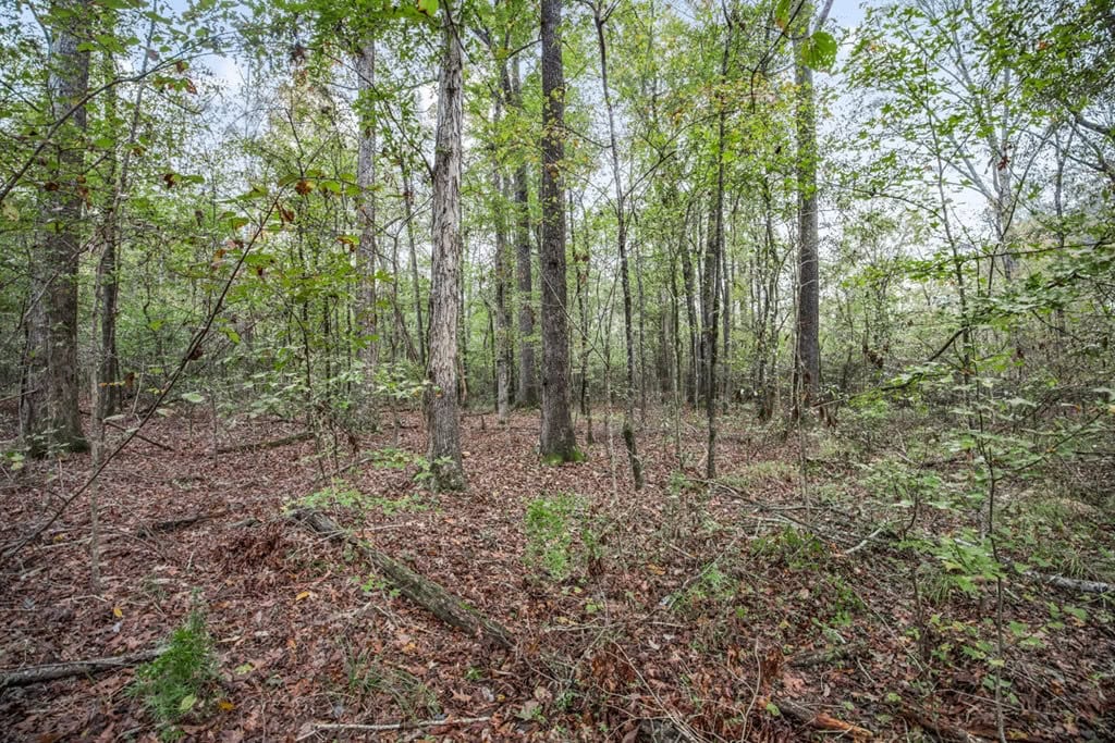 77 Acres with Camp for Sale in Simpson County, MS