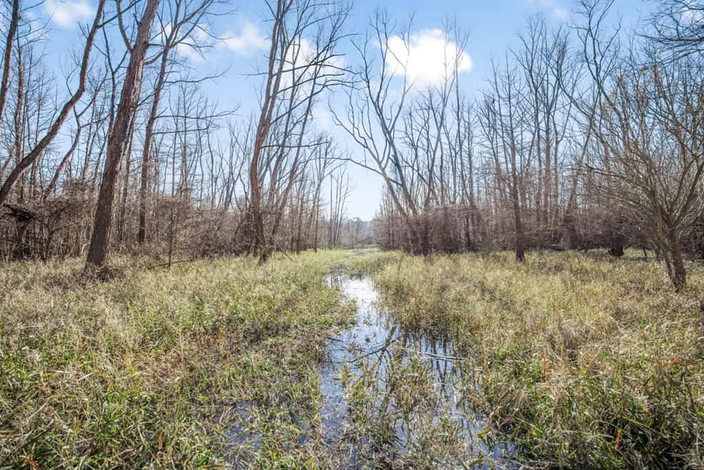Hunting Land for Sale in The MS Delta