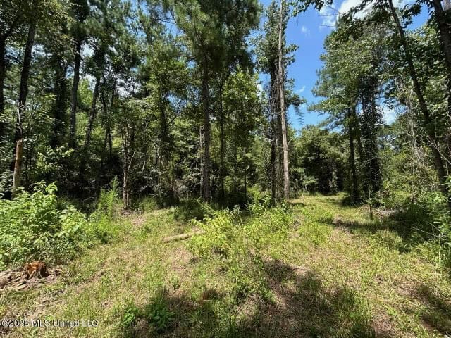 8± Acres in McCall Creek, MS with Creek Frontage
