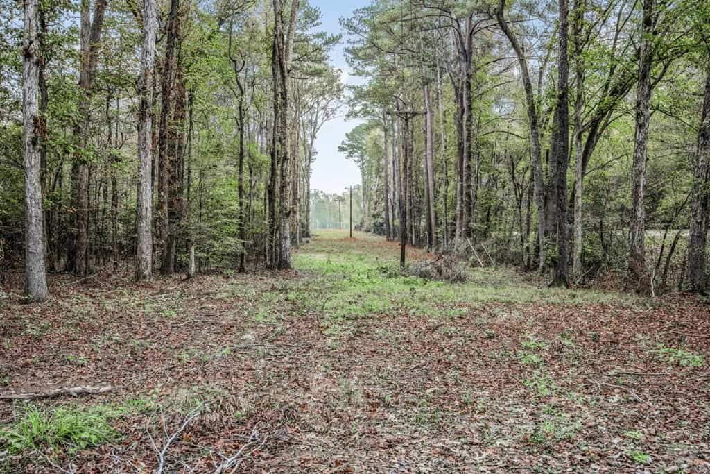 77 Acres with Camp for Sale in Simpson County, MS