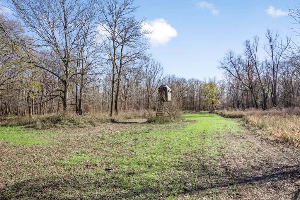 Hunting Land for Sale in The MS Delta