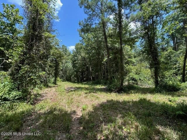8± Acres in McCall Creek, MS with Creek Frontage